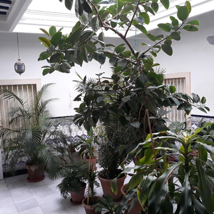 Atico Soleado Apartment Cadiz Luaran gambar