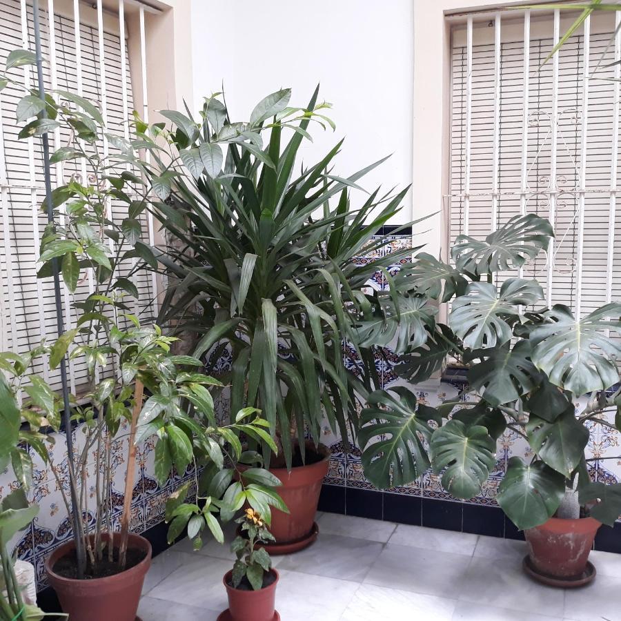 Atico Soleado Apartment Cadiz Luaran gambar