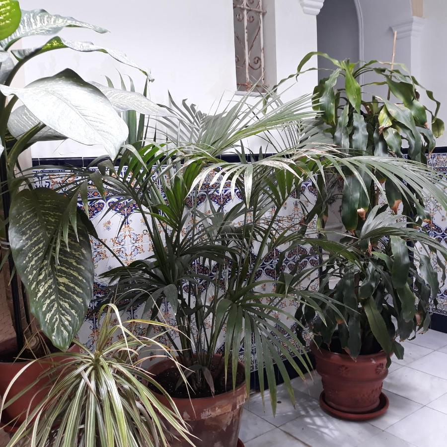 Atico Soleado Apartment Cadiz Luaran gambar